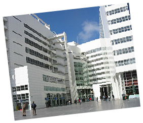 We can Tour the City Hall in The Hague