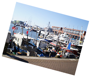 When Touring The Hague we can visit the Marina in Scheveningen