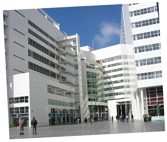 Guided Tours to the City Hall in The Hague